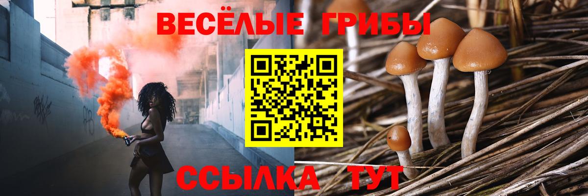 Псилоцибиновые грибы Psilocybe  Вход с VPN  Комсомольск-на-Амуре 