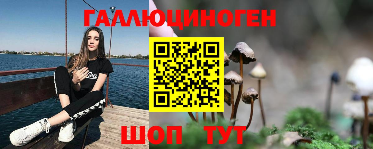Псилоцибиновые грибы Magic Shrooms Комсомольск-на-Амуре